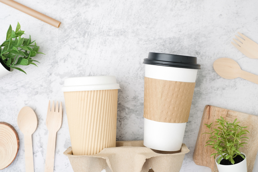 Biodegradable Innovations A Sustainable Future
